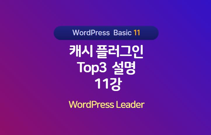 캐시 플러그인 배너