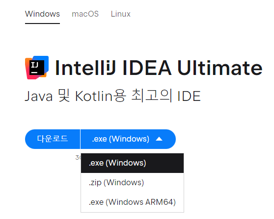 intellij IDEA Ultimate file