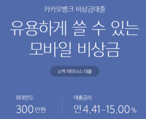 비상금대출