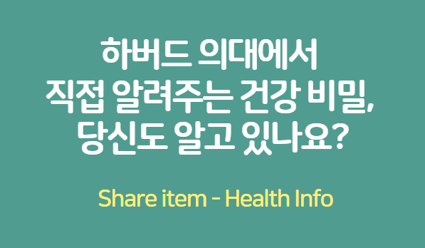 하버드의대 건강 비밀