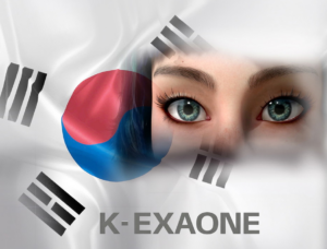 K-엑사원 폐쇄망 온프레미스 구축 경쟁력 분석, GPU 메모리와 라이선스부터 따져보세요 1 k-exaone
